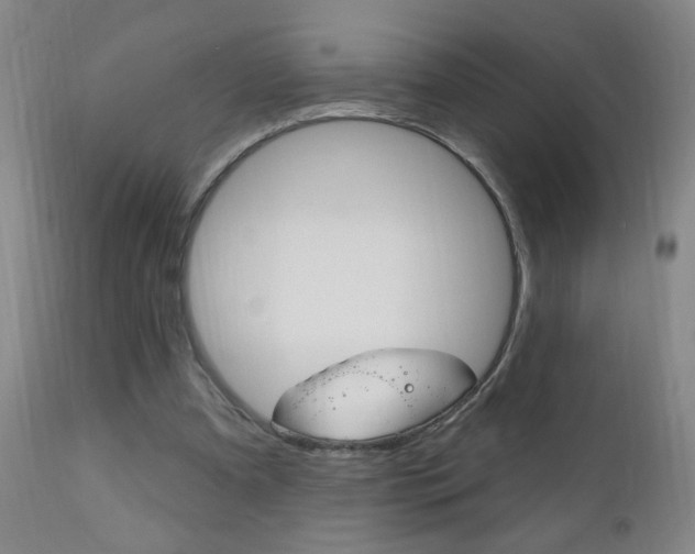 X0000110940297200906191057