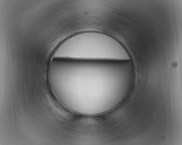 X0000110940299200906191057