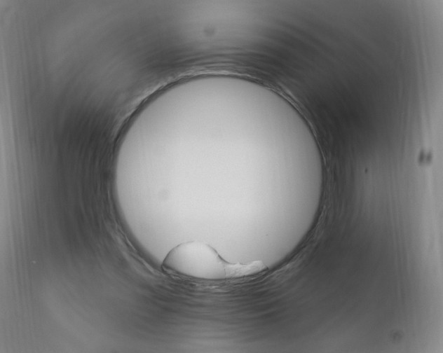 X0000110940301200906191057
