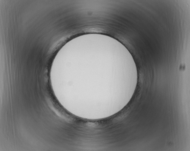 X0000110940302200906191056