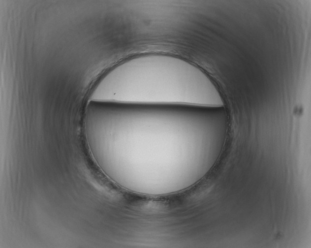 X0000110940303200906191056