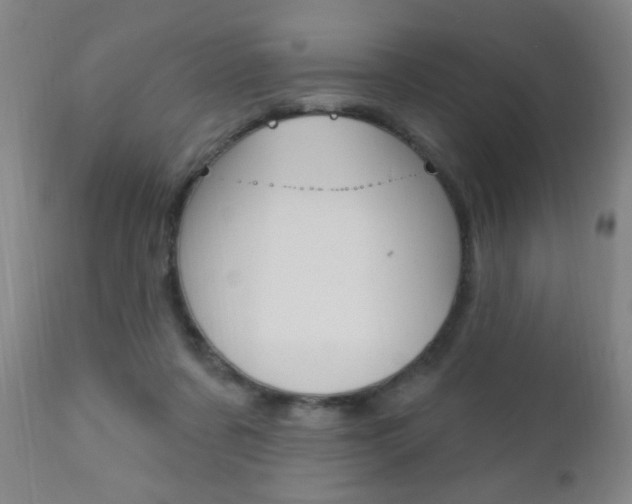 X0000110940311200906191056