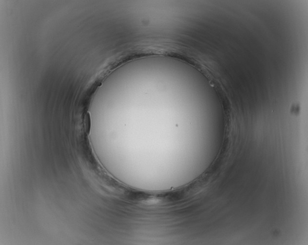 X0000110940312200906191056