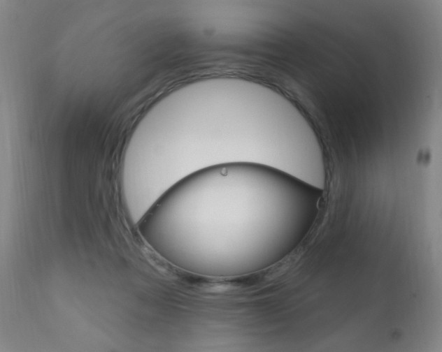 X0000110940313200906191056
