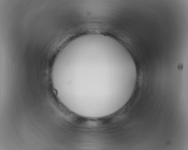 X0000110940314200906191056