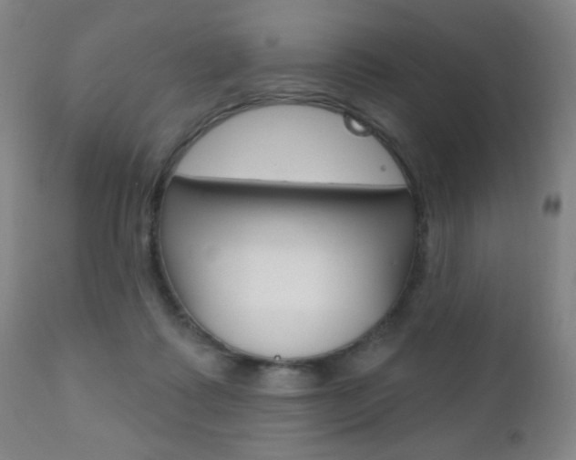 X0000110940315200906191056