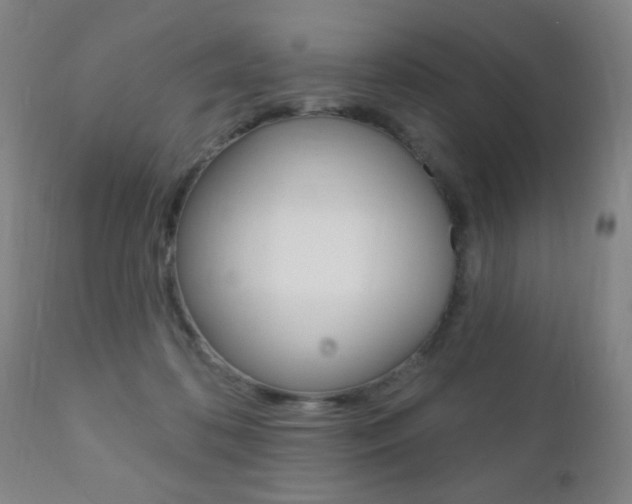 X0000110940316200906191056