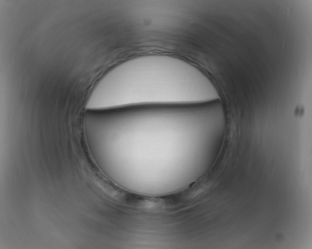 X0000110940317200906191056