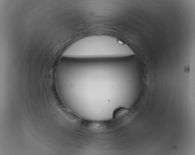 X0000110940319200906191056