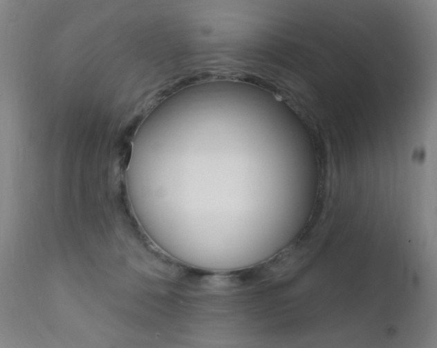 X0000110940320200906191056