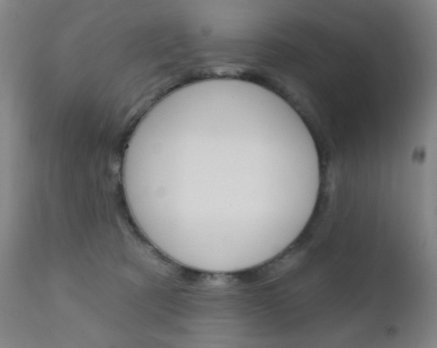 X0000110940321200906191056