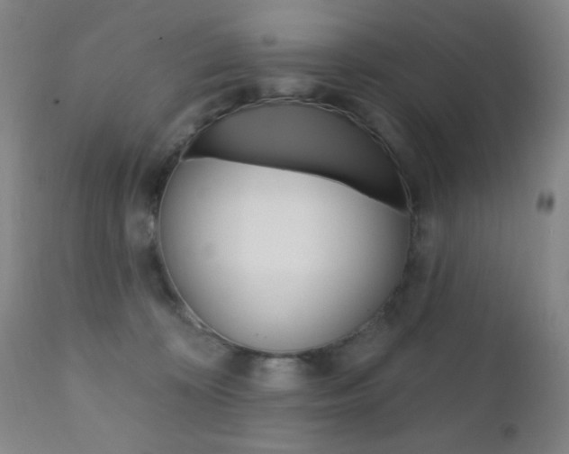 X0000110940324200906191056