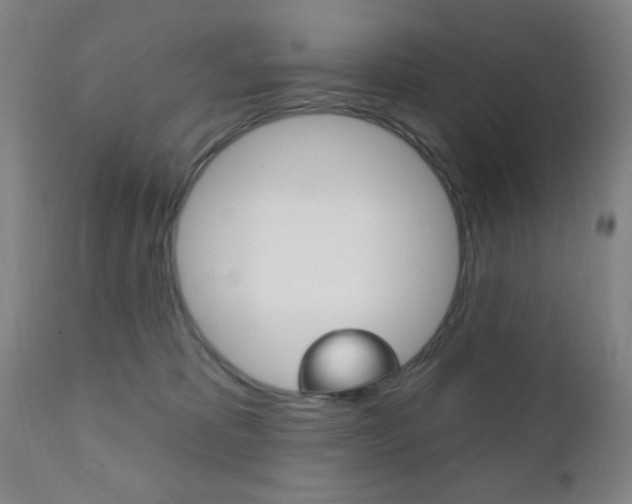 X0000110940325200906191056