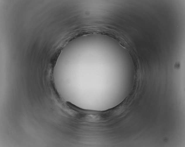 X0000110940328200906191056