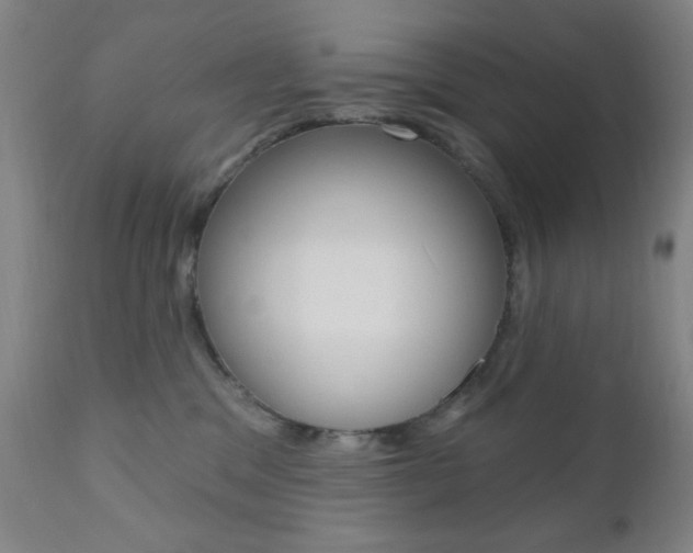 X0000110940329200906191056