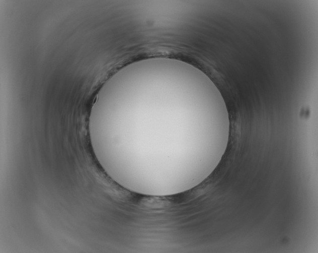 X0000110940331200906191056