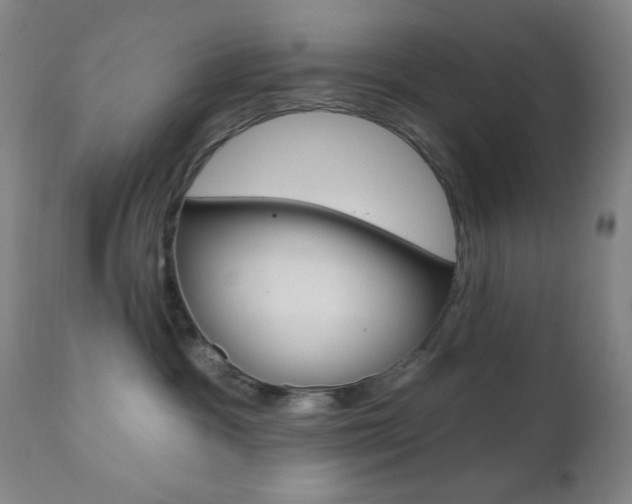X0000110940333200906191056
