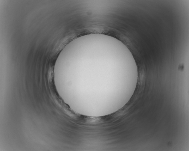 X0000110940334200906191056