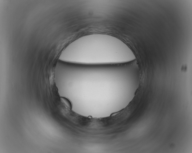 X0000110940335200906191056