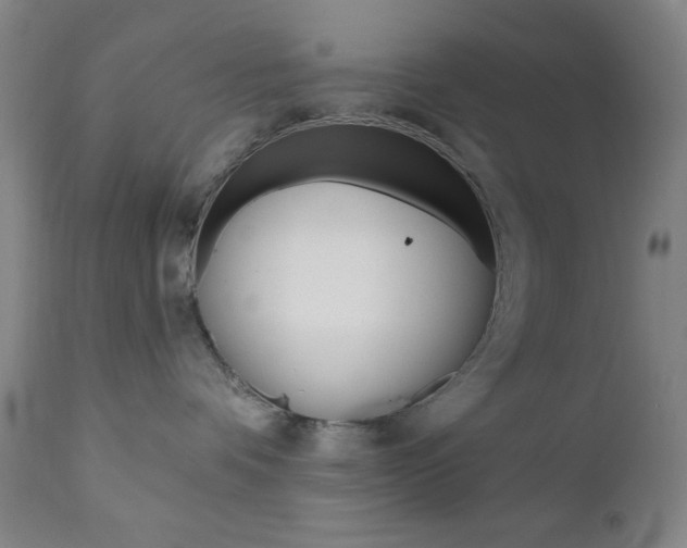 X0000110940336200906191056