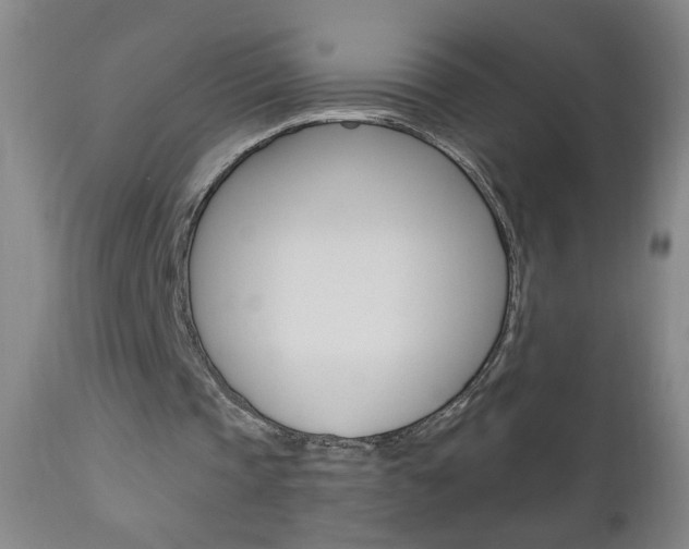 X0000110940337200906191055