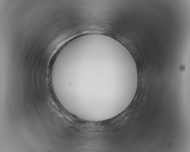 X0000110940338200906191055