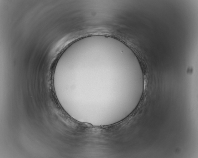 X0000110940339200906191055