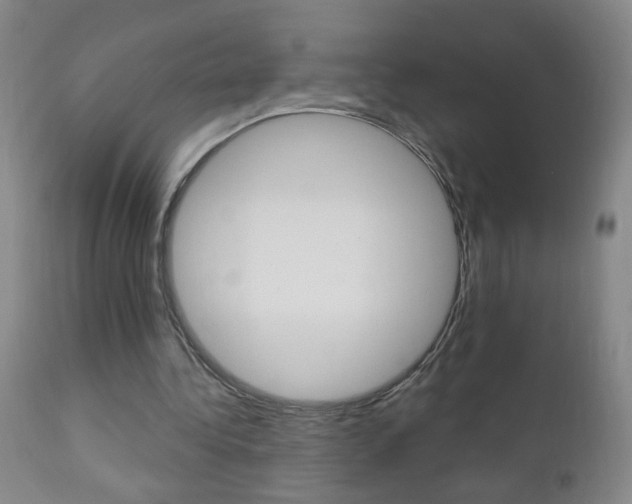 X0000110940340200906191055