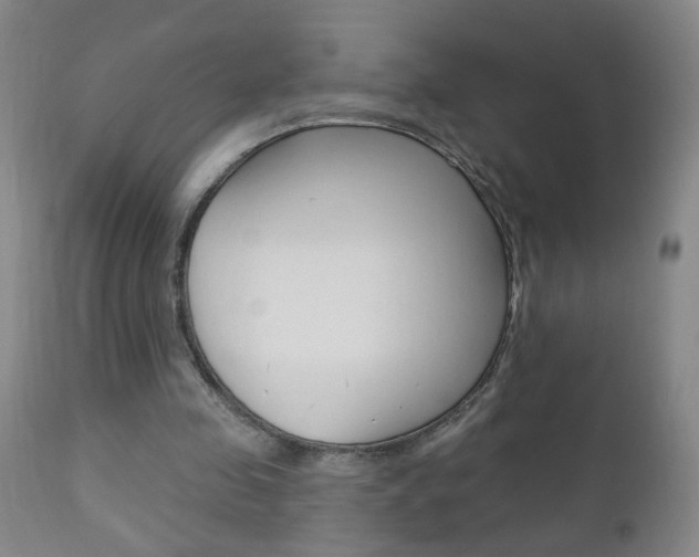 X0000110940341200906191055