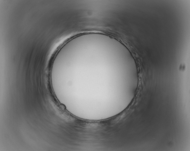 X0000110940342200906191055