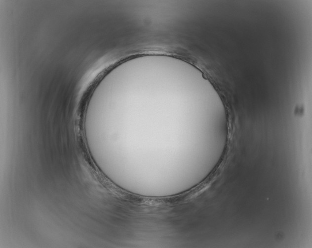 X0000110940343200906191055