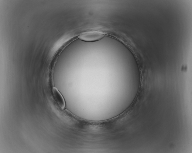 X0000110940344200906191055