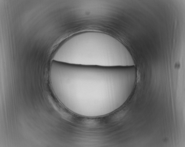 X0000110940349200906191055