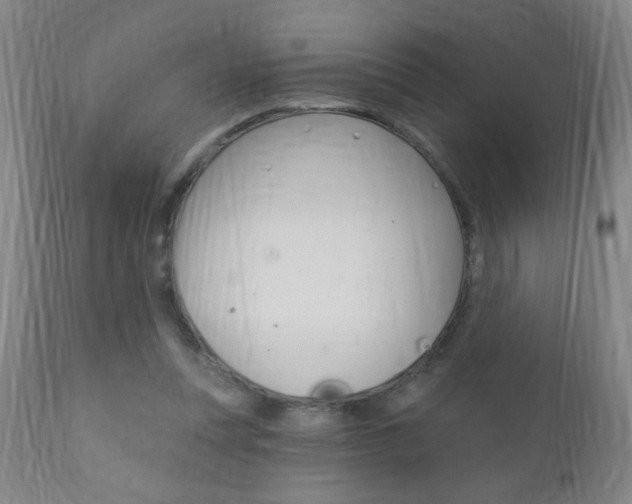 X0000110940351200906191055