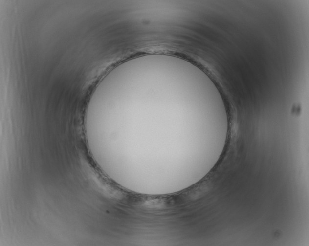 X0000110940353200906191055