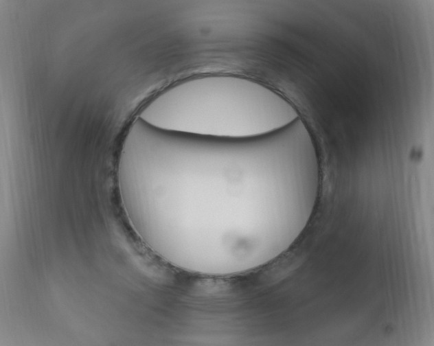 X0000110940354200906191055