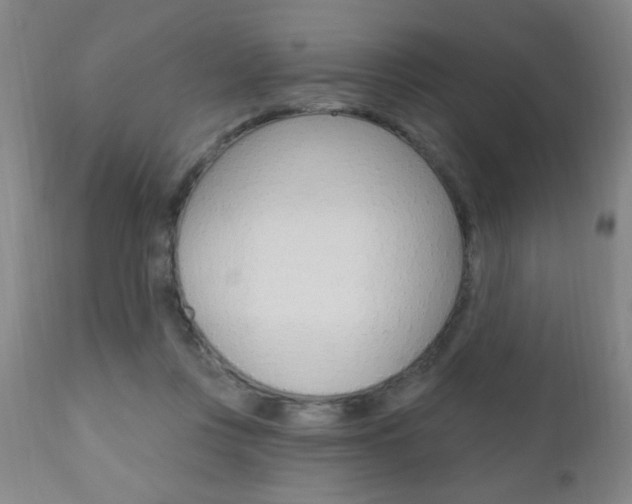 X0000110940359200906191055