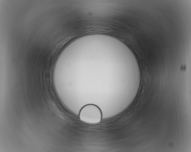 X0000110940360200906191056
