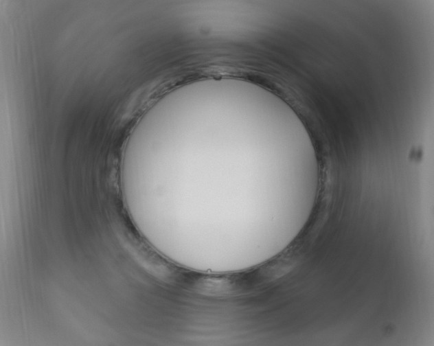 X0000110940361200906191056
