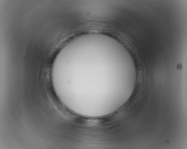 X0000110940363200906191056