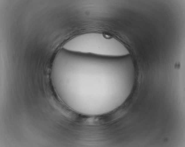 X0000110940366200906191056