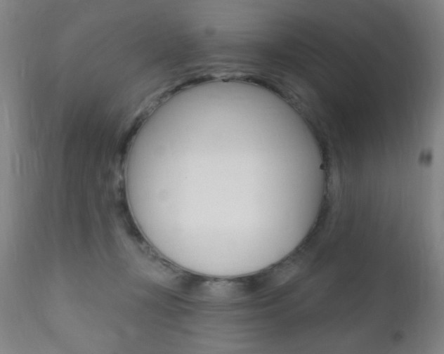 X0000110940367200906191056