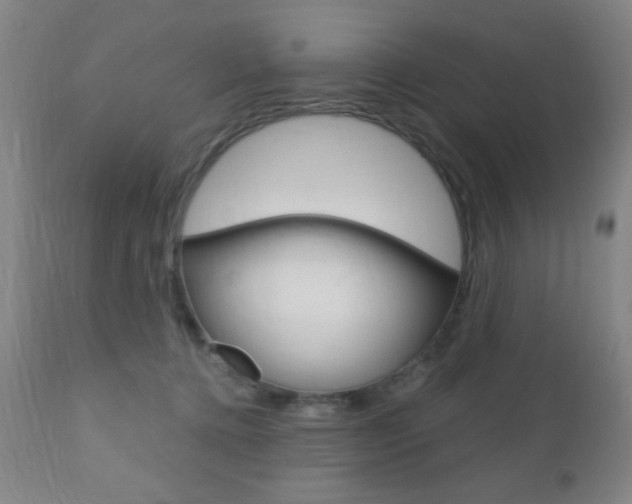 X0000110940368200906191056