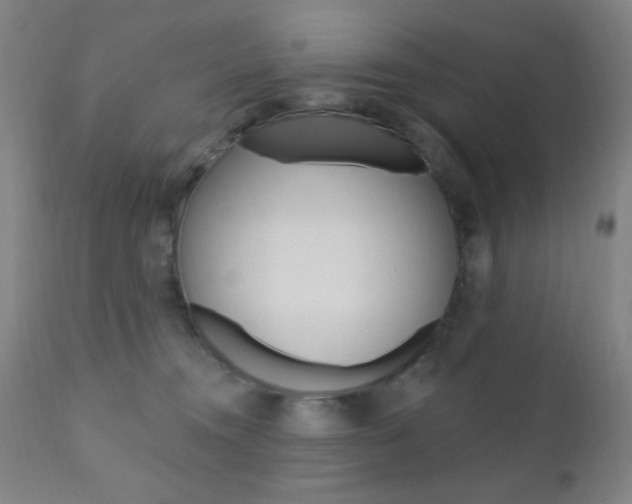 X0000110940372200906191056