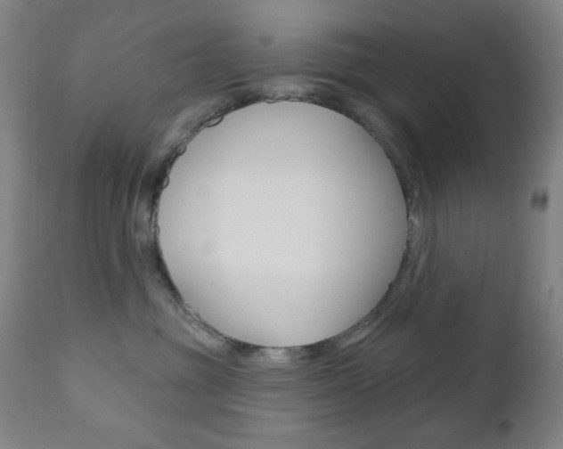 X0000110940381200906191056