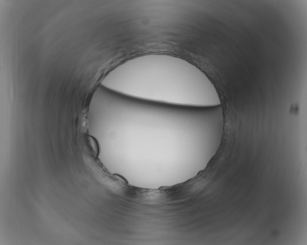 X0000110940383200906191056