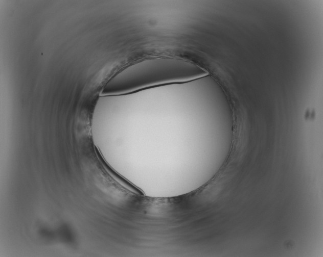X0000110940384200906191056