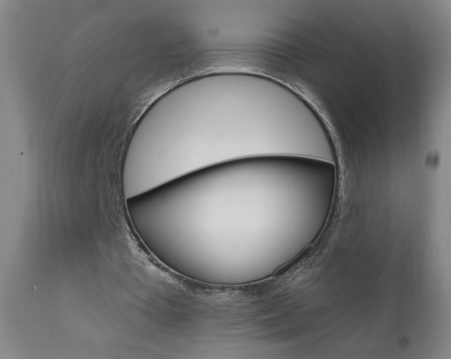 X0000110940385200906191055
