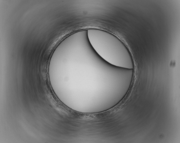 X0000110940386200906191055