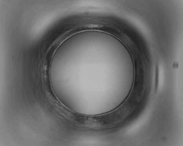 X0000110940387200906191055